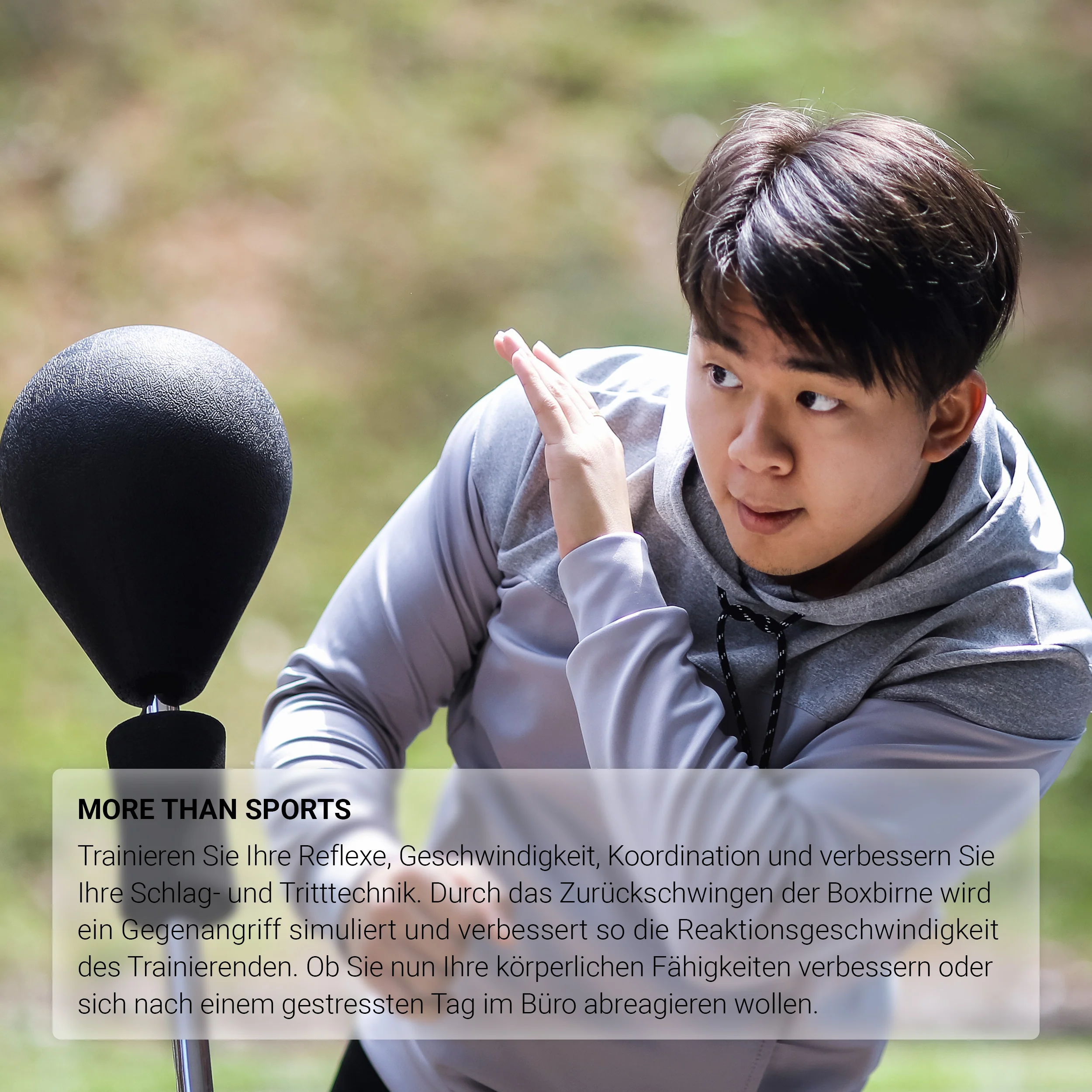 2025 Boksebold Premium