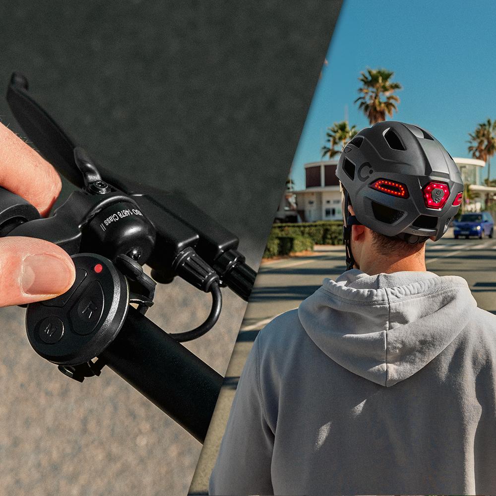 BrainGuard Flash L-XL