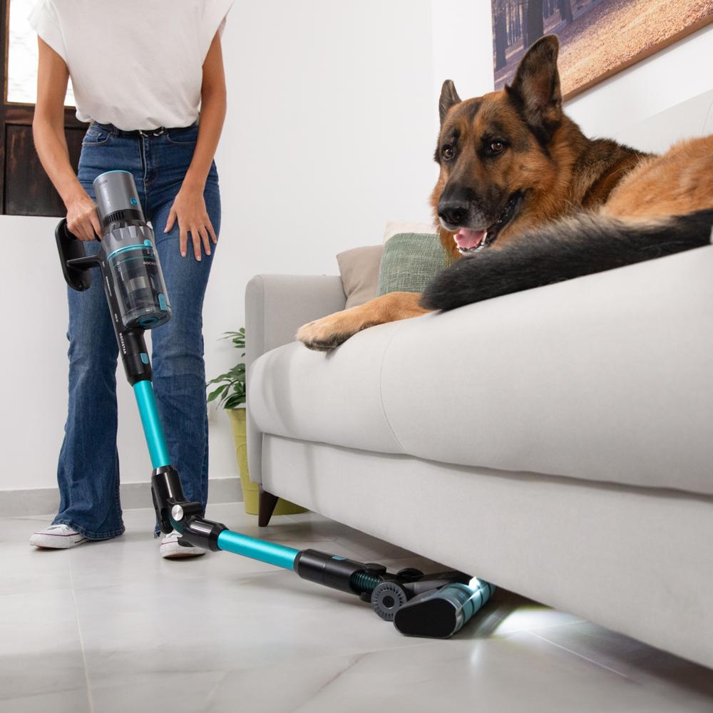 Rockstar 2500 Thunder Flex Animal Conga