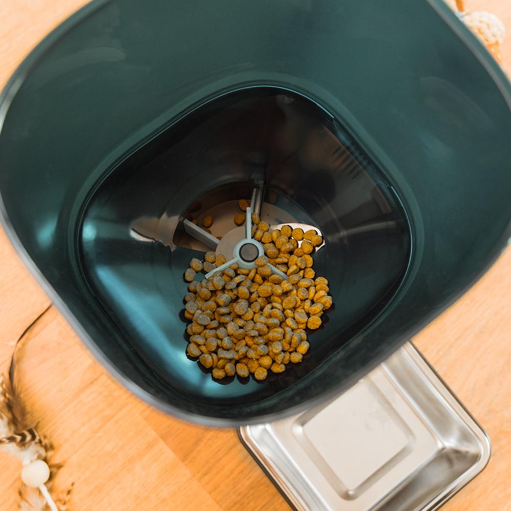 Pumba 6000 Purrfect Meal Smart