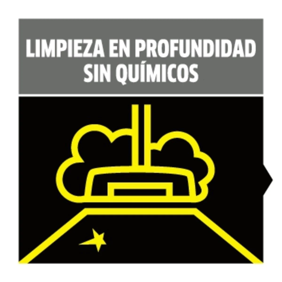 2025 SG 4/4 – Højtydende professionel damprenser