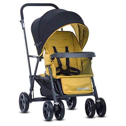 Joovy Caboose Graphite Doppelkinderwagen Appletree