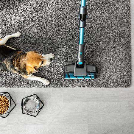 Rockstar 2500 Titanium ErgoWet Conga