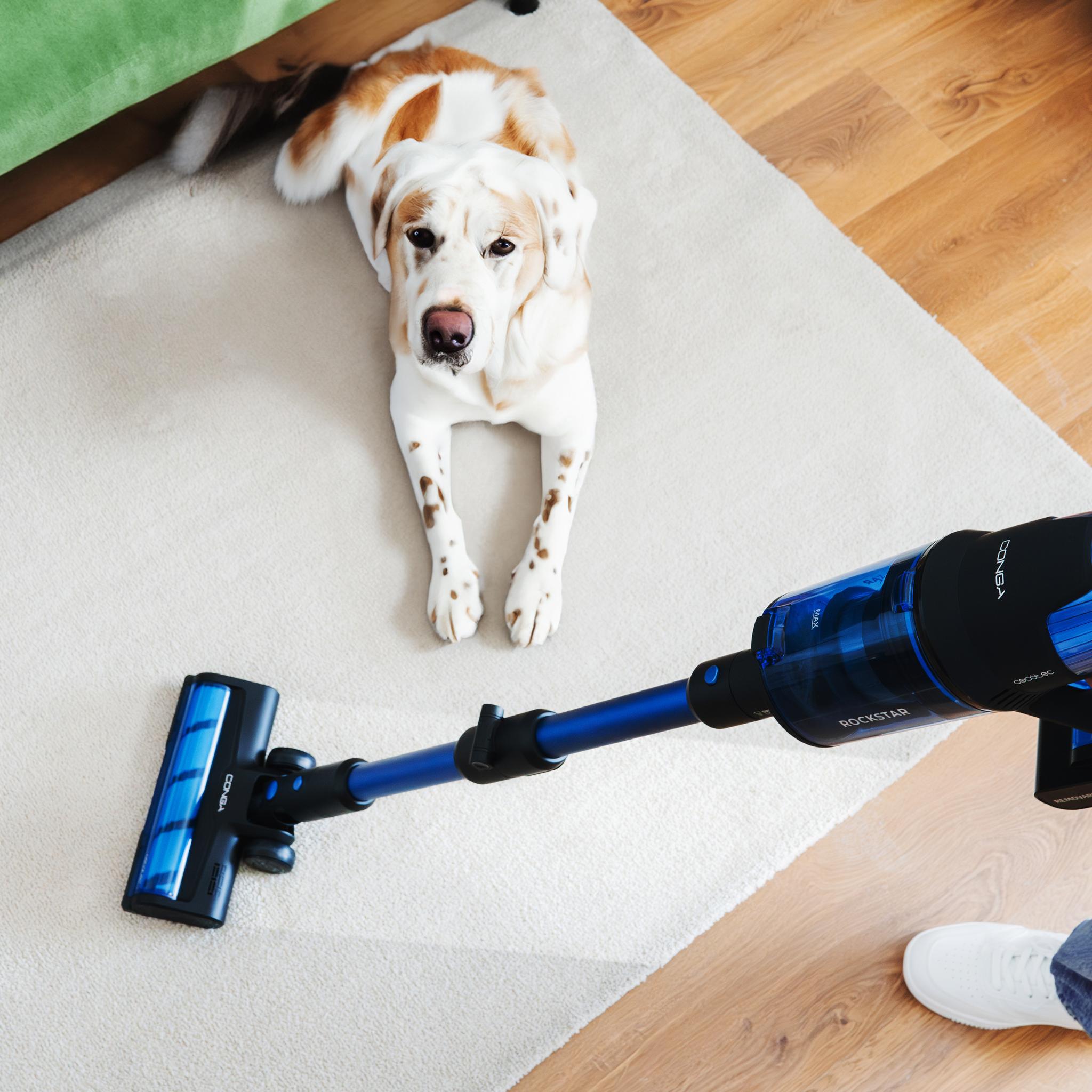 Rockstar 8500 Infinity ErgoWet Animal Turbo T Conga