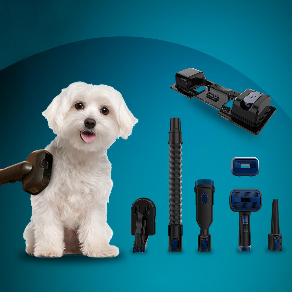 Conga Rockstar Premium Ultra4