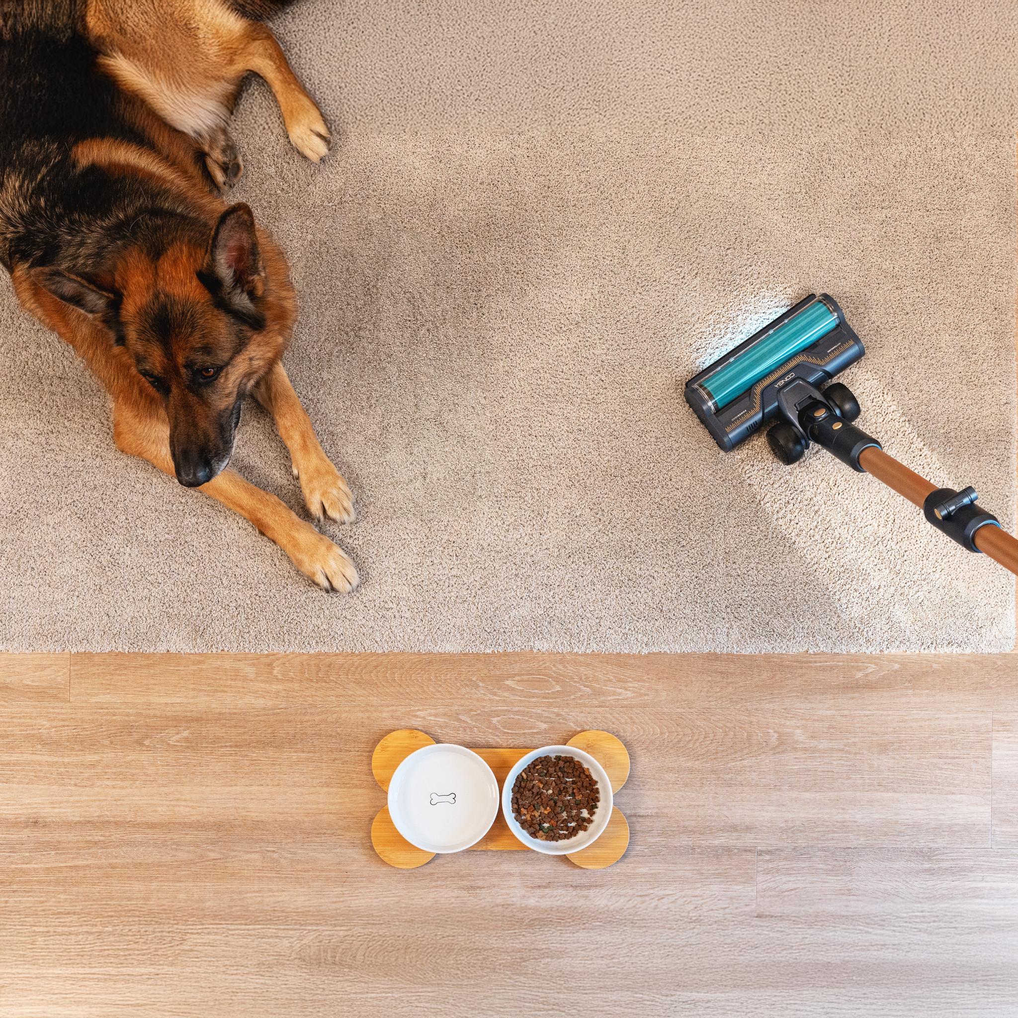 Rockstar 10500 Solar AquaPet Flex Conga