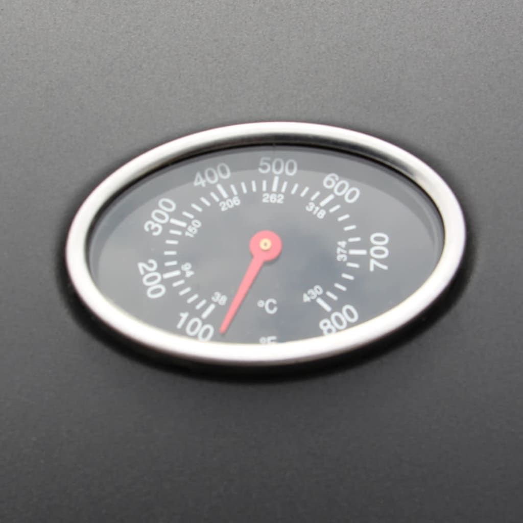 Vidaxl Gasgrill mit 4+1 Brennern, Schwarz