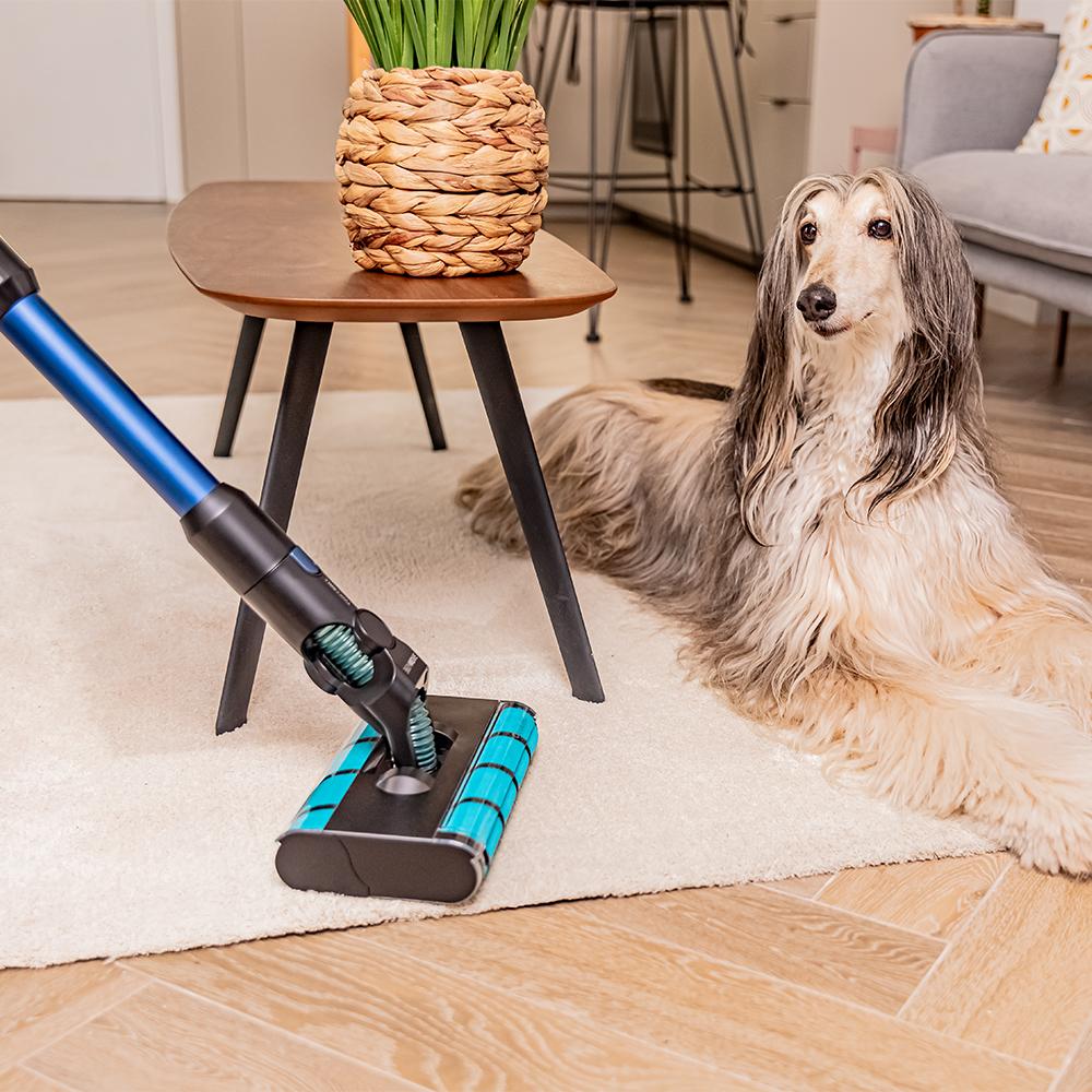 Rockstar 5500 Hurricane ErgoTwice Animal Conga