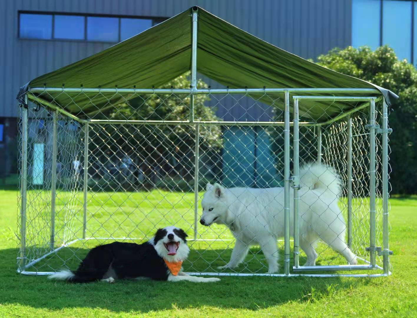 Enclos extérieur Petony 2025 pour chiens – Cage. Parc à jeux fermé pour chiens avec grillage galvanisé haute résistance et toit imperméable et résistant aux UV.