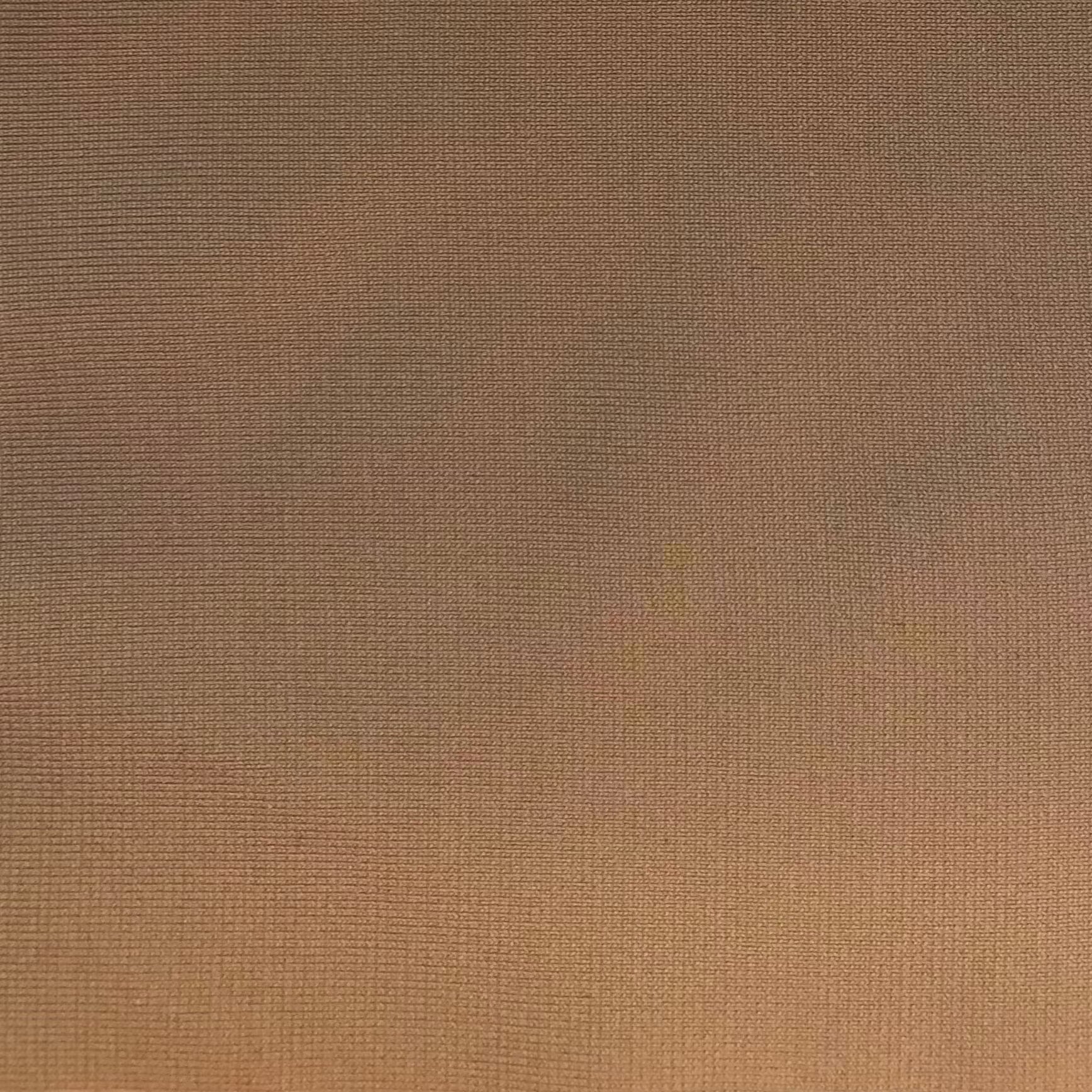 Lola High Cut One Piece Swimsuit