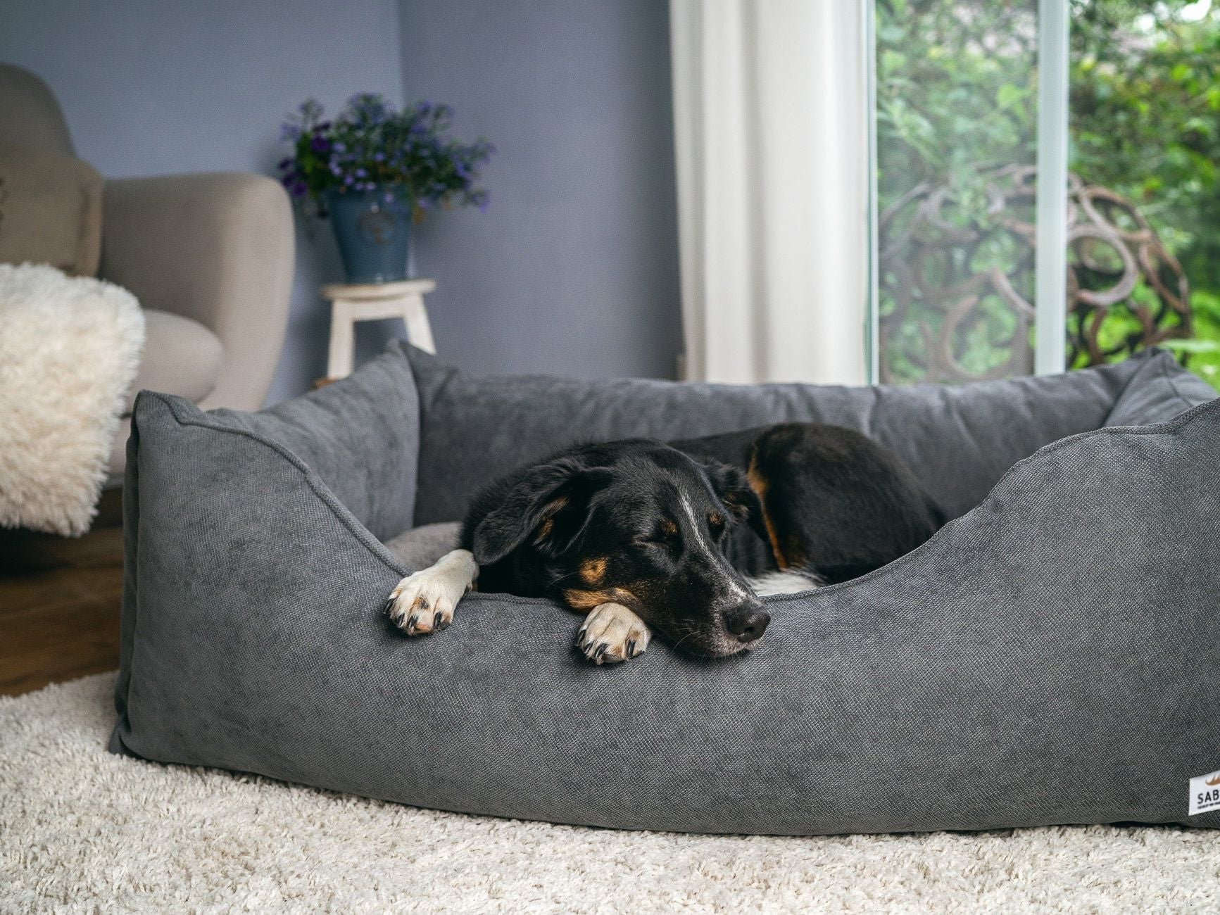 2025 LALELU Hundeseng