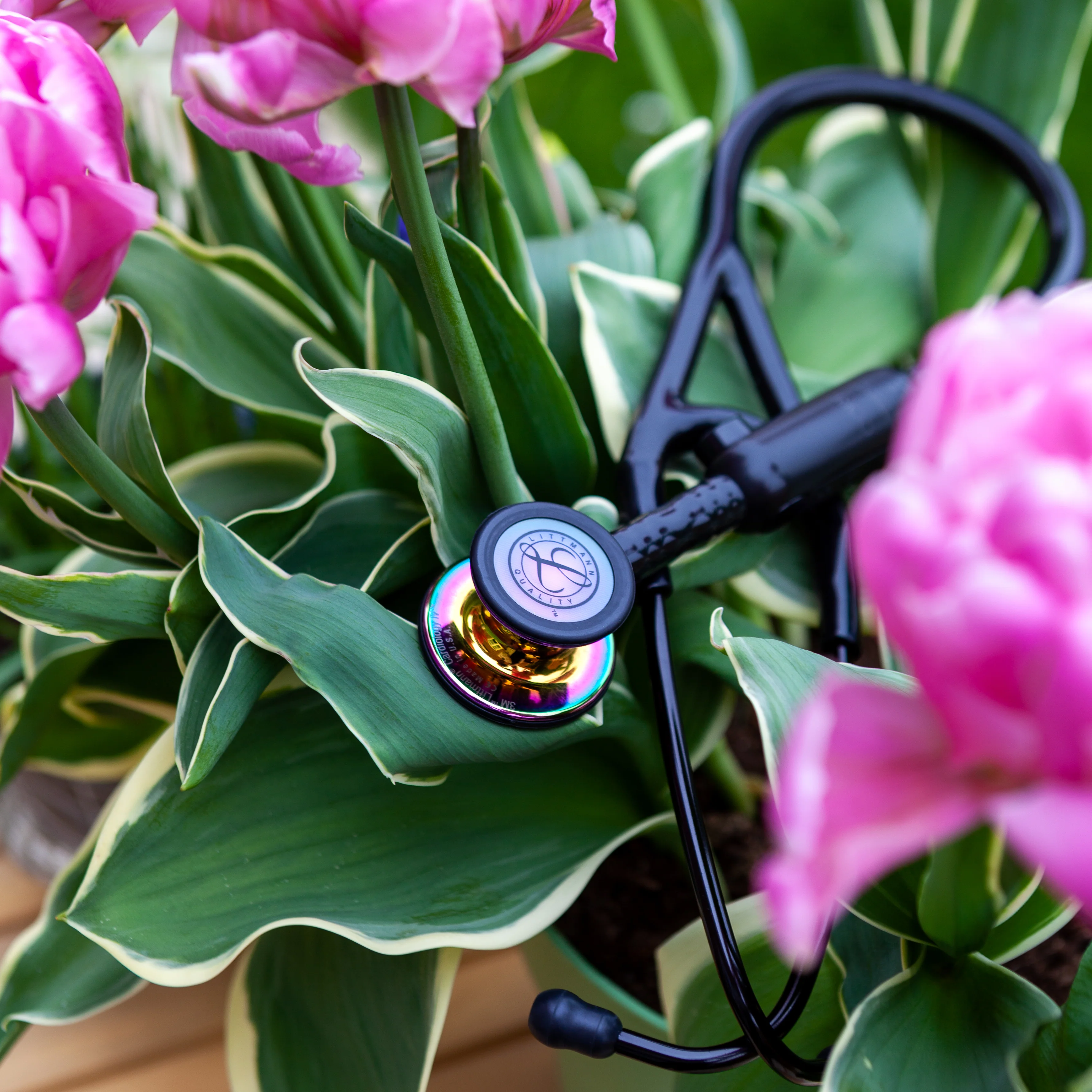 2025 Littmann CORE 8572 digitalt stetoskop – regnbuefarvet glansfinish
