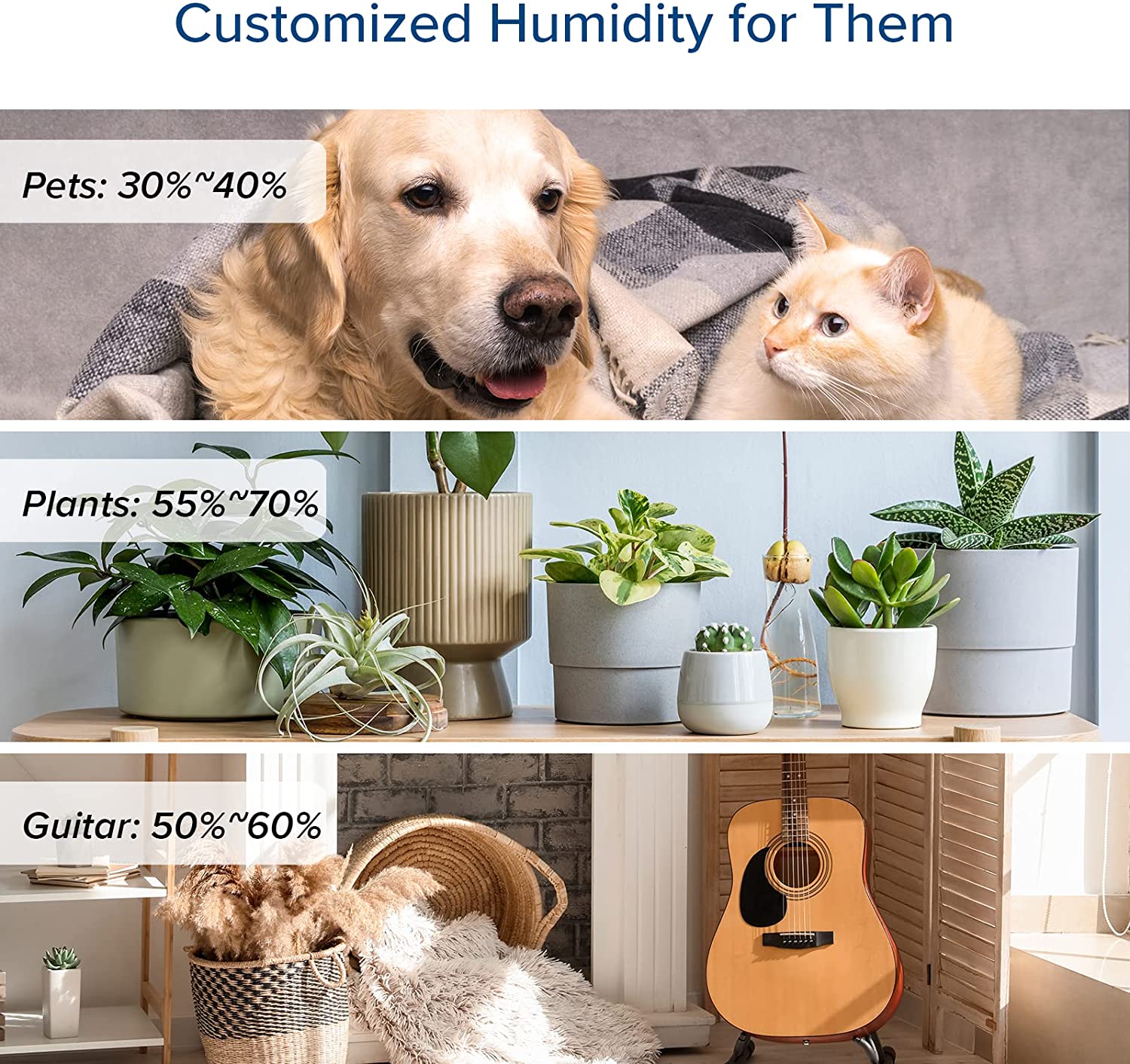 Humidificateurs LEVOIT pour chambres et grandes pièces, humidificateur à vapeur chaude et froide de 6 L pour maisons et plantes, avec capteur d'humidité intégré