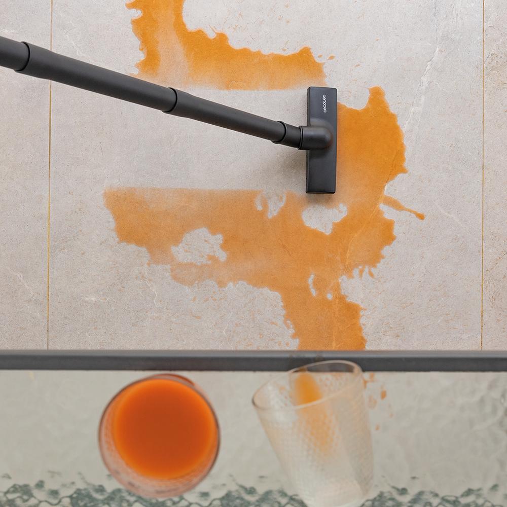 Rockstar Nass- und Trockenkompaktgarten Plus Conga