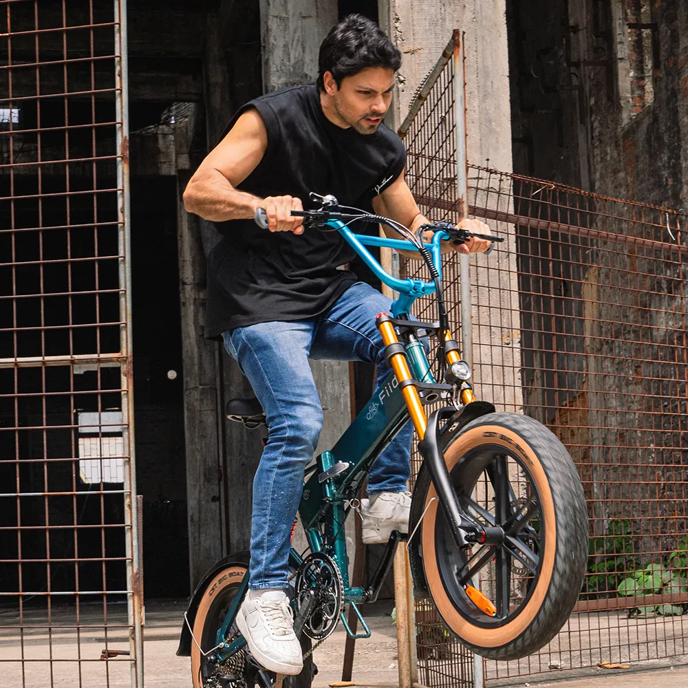 2025 Fiido M1 Pro Elektro-Fatbike mit großem Rad