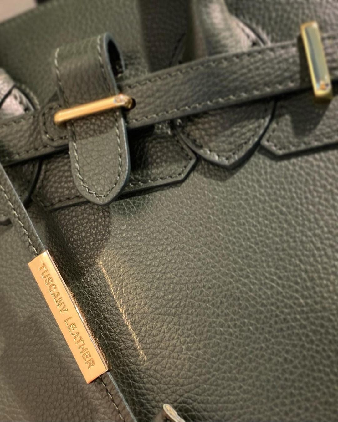 TL Bag - Leather handbag with golden hardware | TL141529