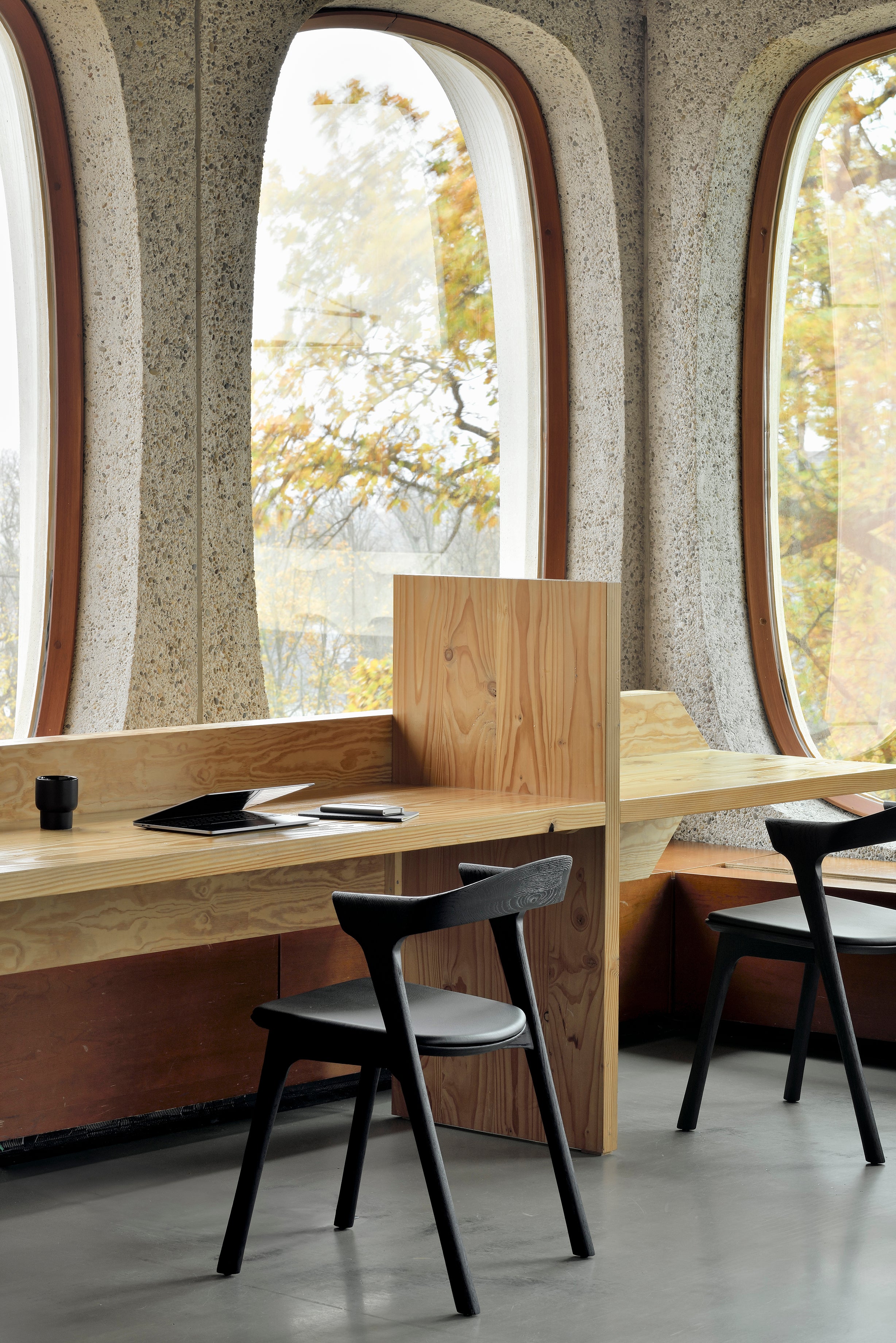 Silla de comedor Bok - Roble negro con cuero