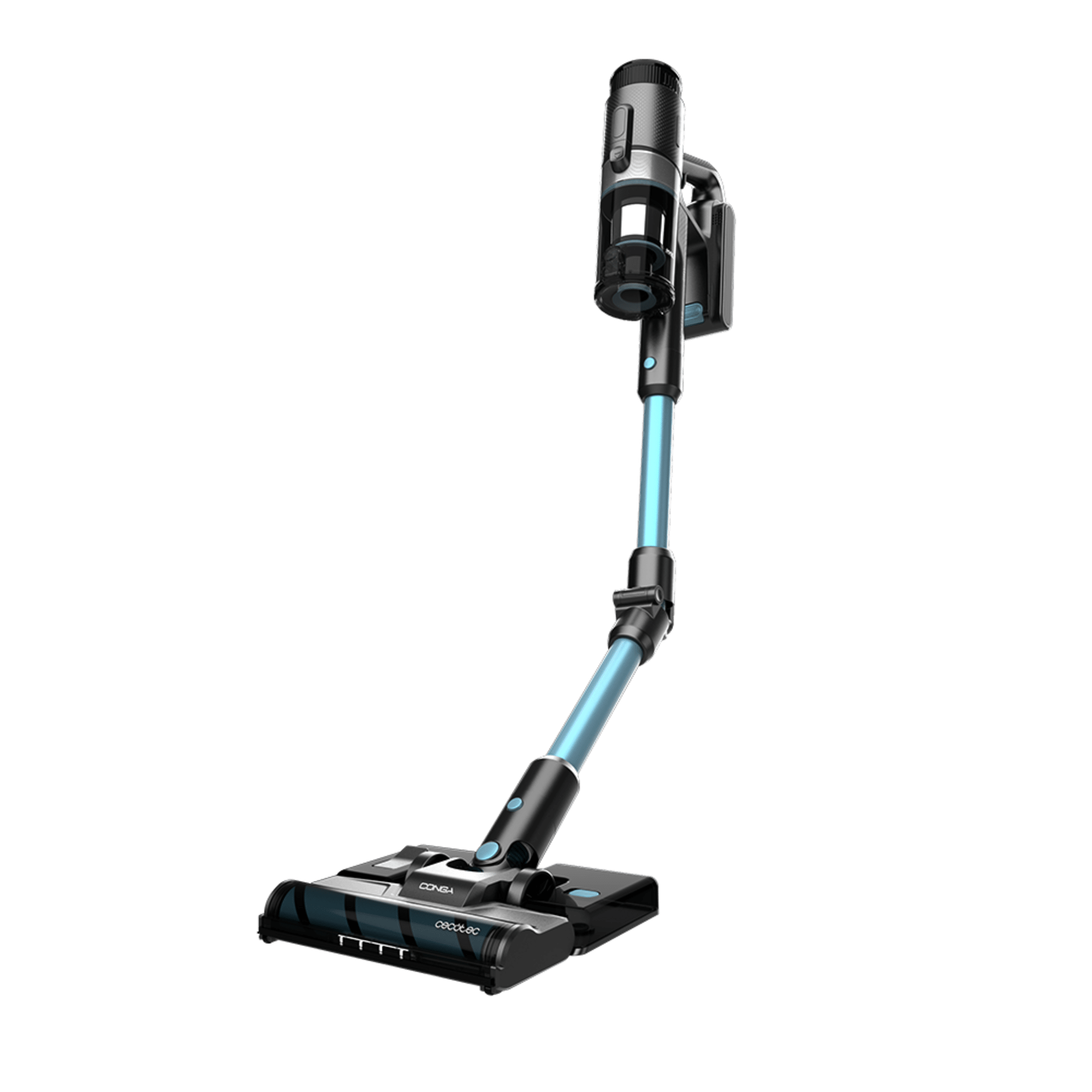 Rockstar 1500 Ray Ergowet Animal Conga