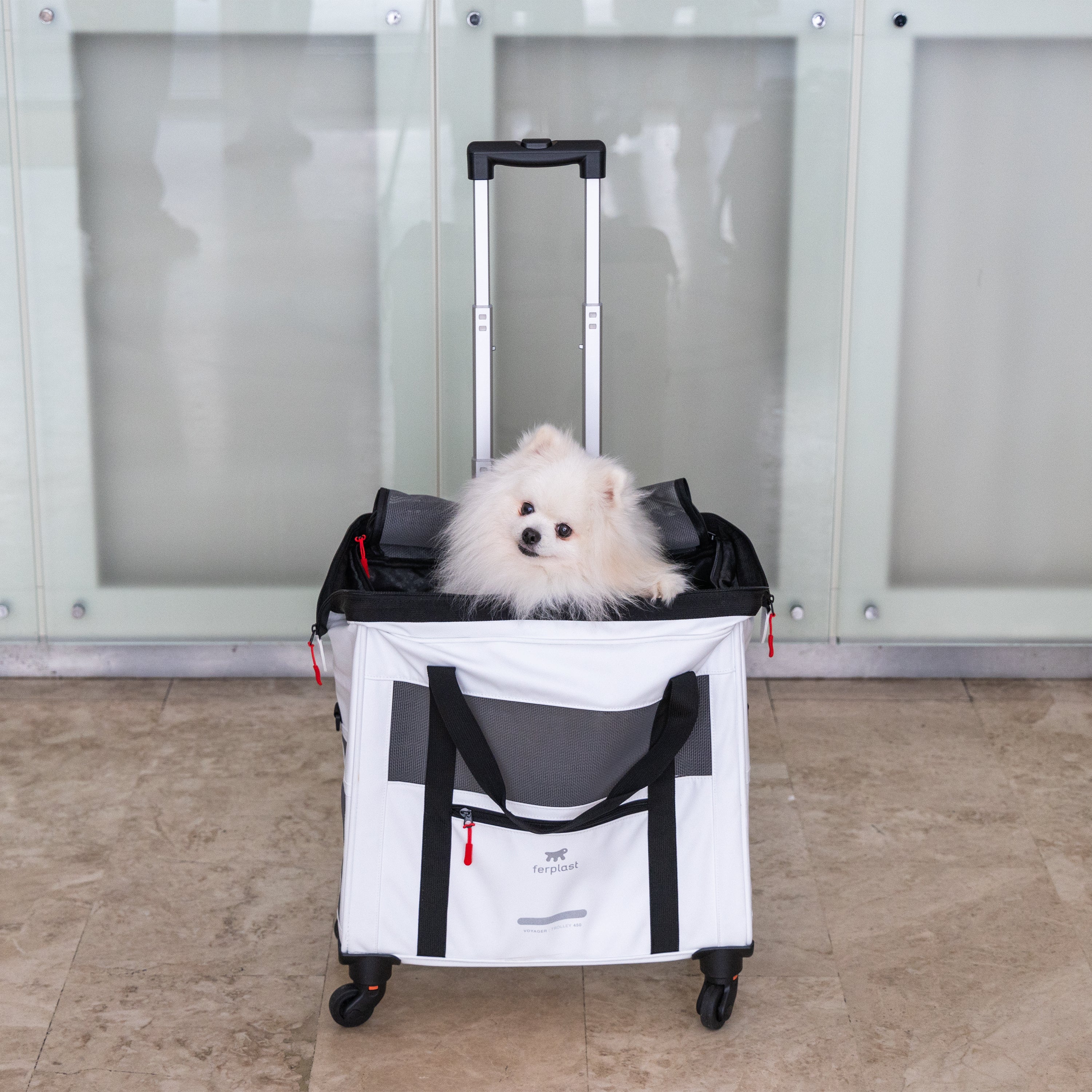 2025 Voyager Trolley von Ferplast – Stilvoller und leichter Trolley aus Kunstleder für Katzen und kleine Hunde bis 15 kg. Mit Rädern, Netzfenstern und Sicherheitsgurt – ideal für komfortables Reisen.