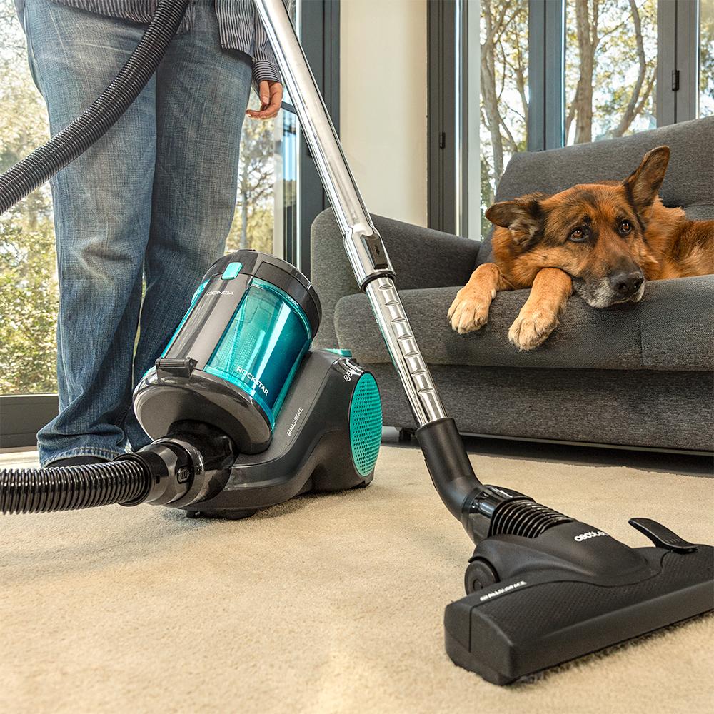 Rockstar Cyclonic Powerbag Conga