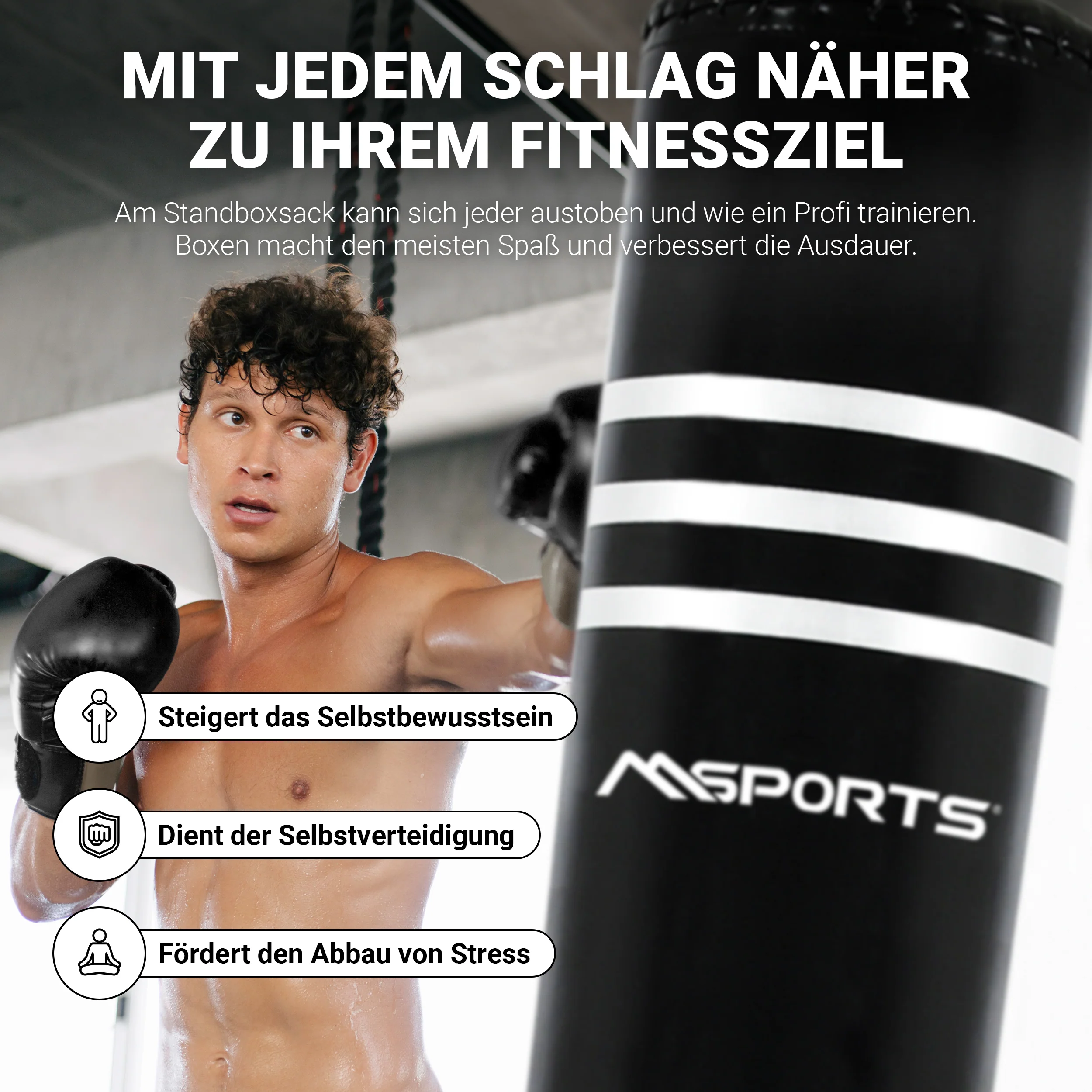 Premium-Boxsack 2025 (freistehend)