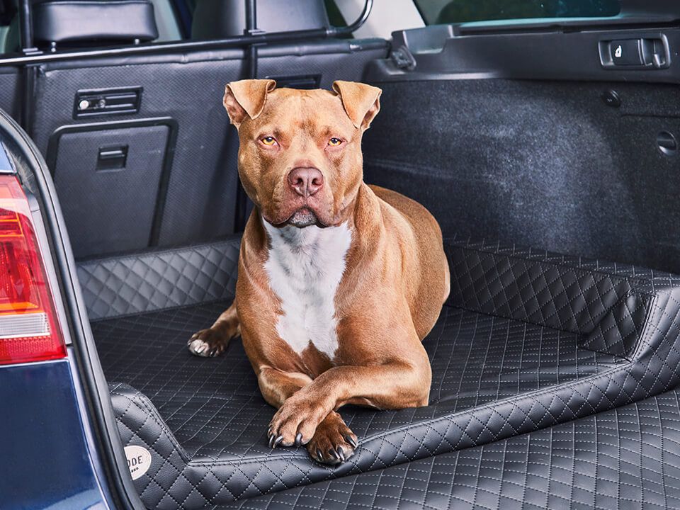 2025 Vagn Hundeseng til Bil