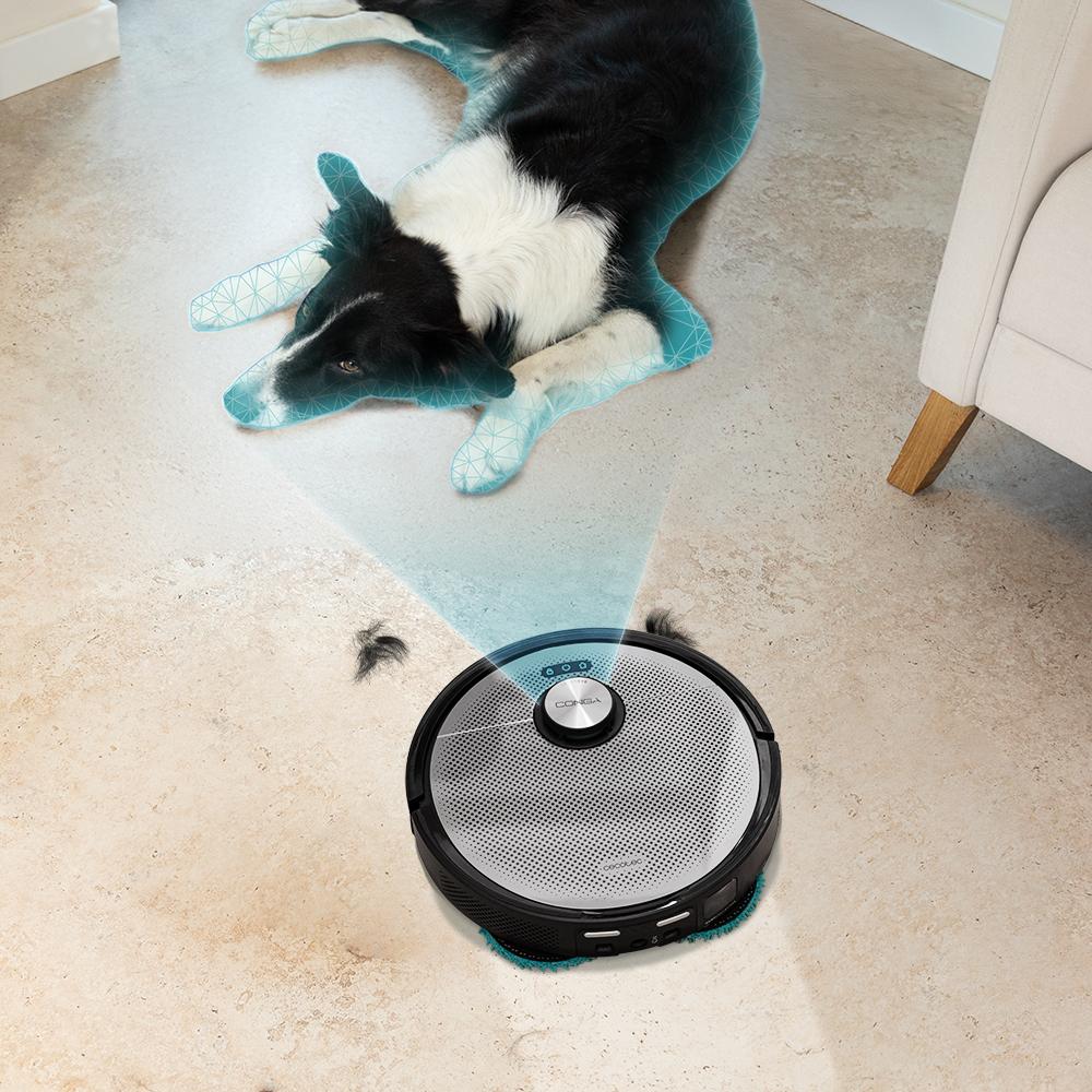 Conga 20090 ProAI EndlessFoam