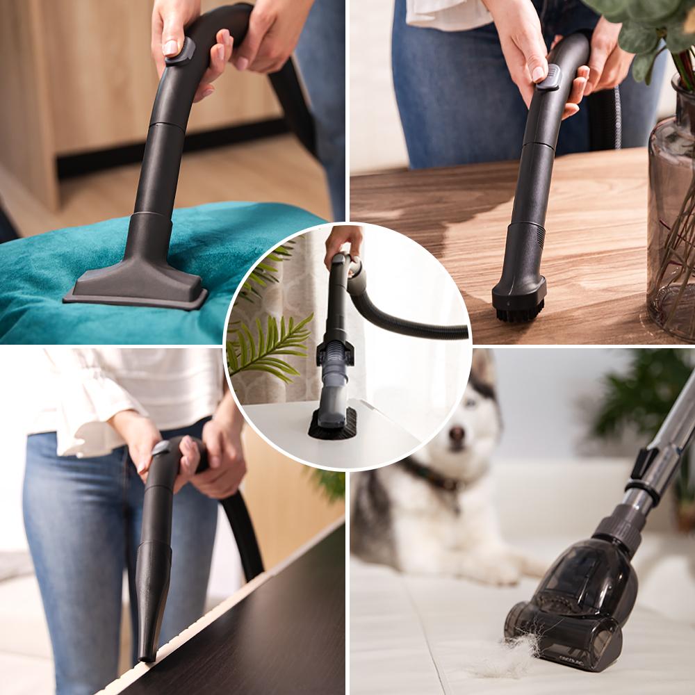 Rockstar Multicyclonic XXL Animal Plus Conga