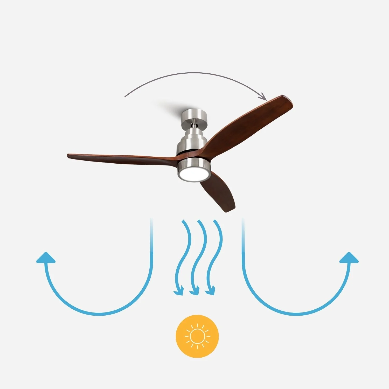 Brizy Bright Dark Wood