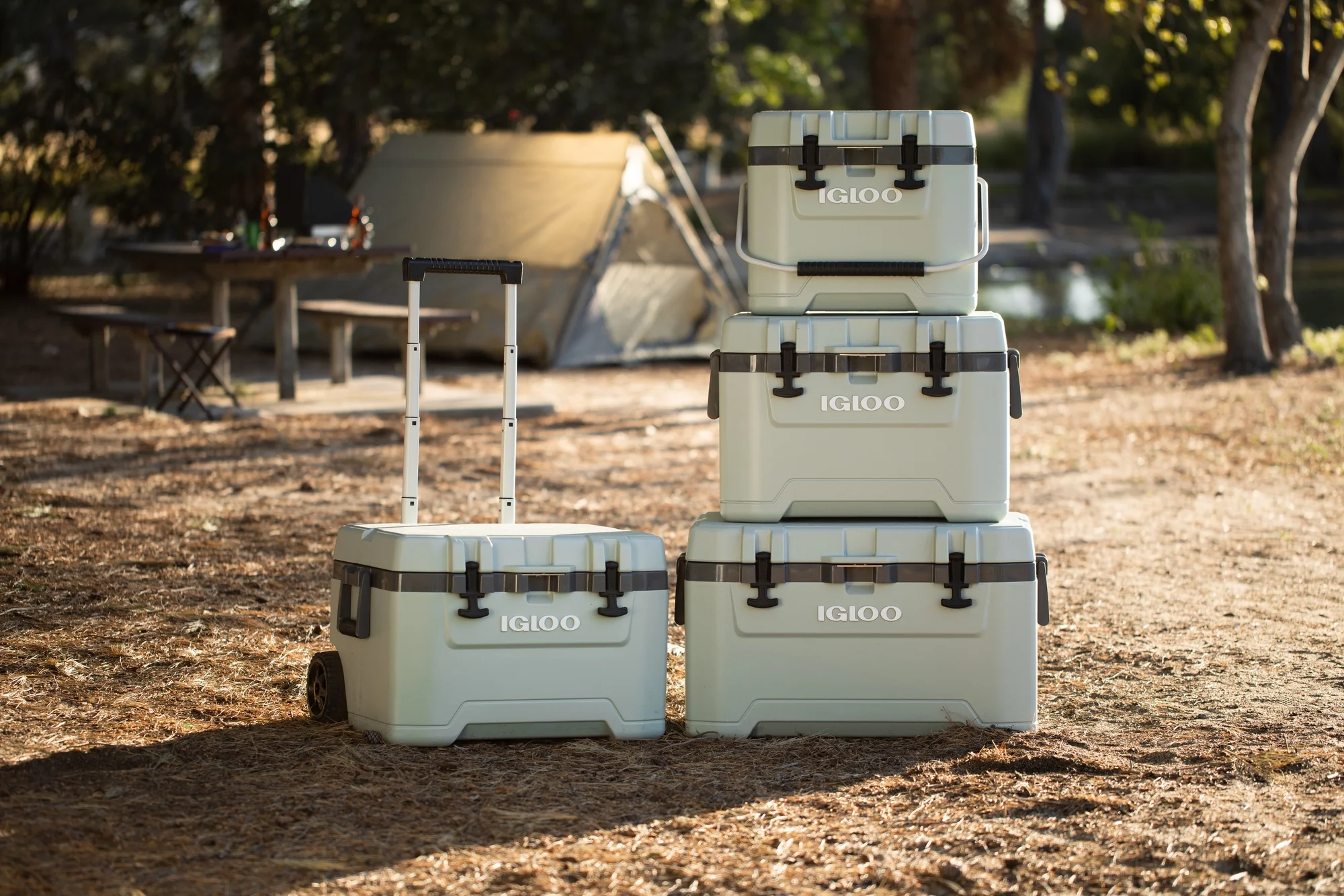 2025 Igloo Overland 72-liters bærbar køler. Grøn