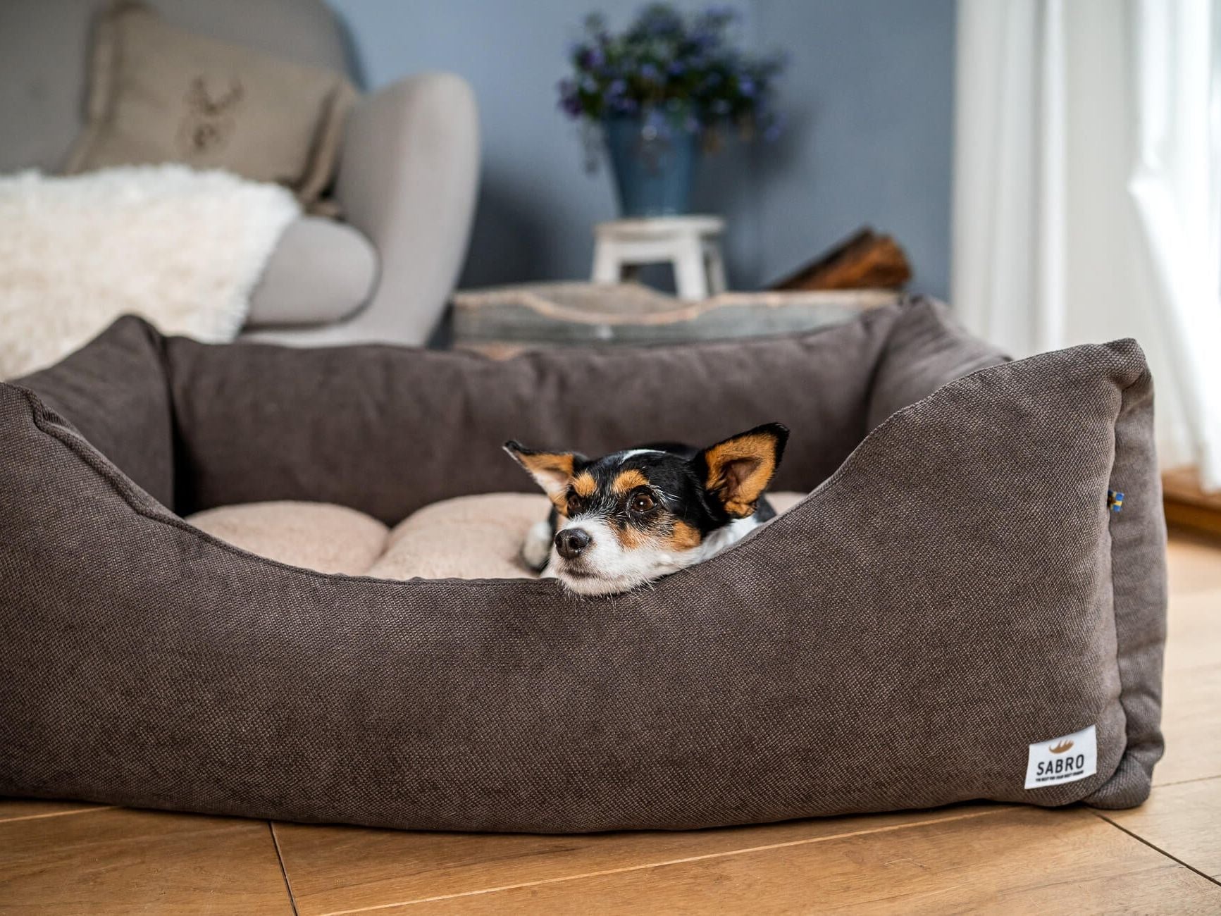 2025 LALELU Hundeseng