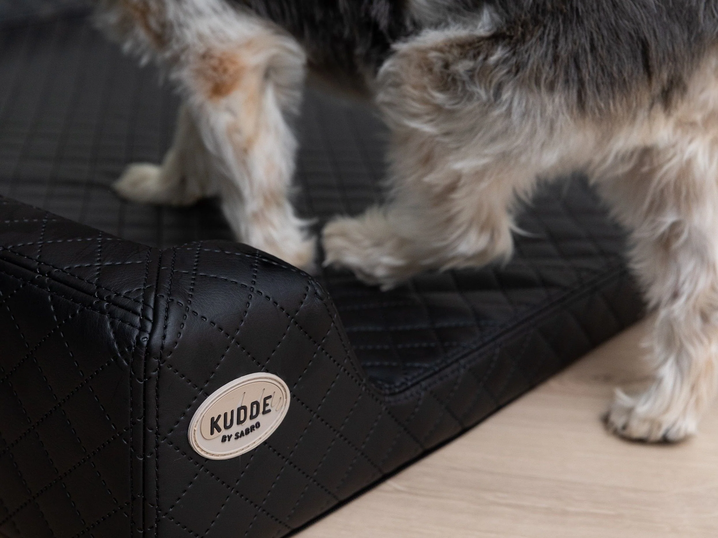 Hemma Hundebett 2025