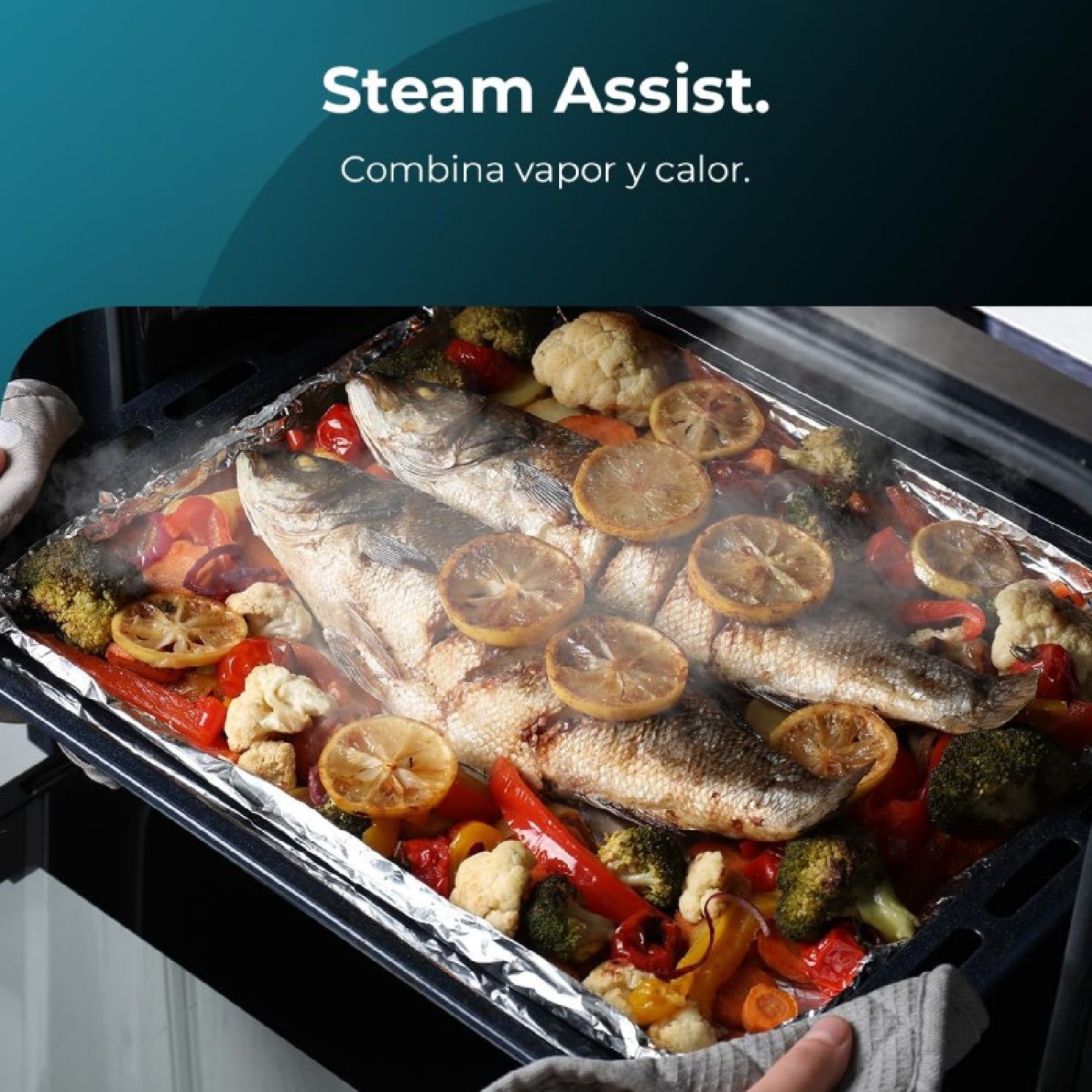 Cecotec Bolero Hexa M226000 Multifunktionsbackofen Glasgrau