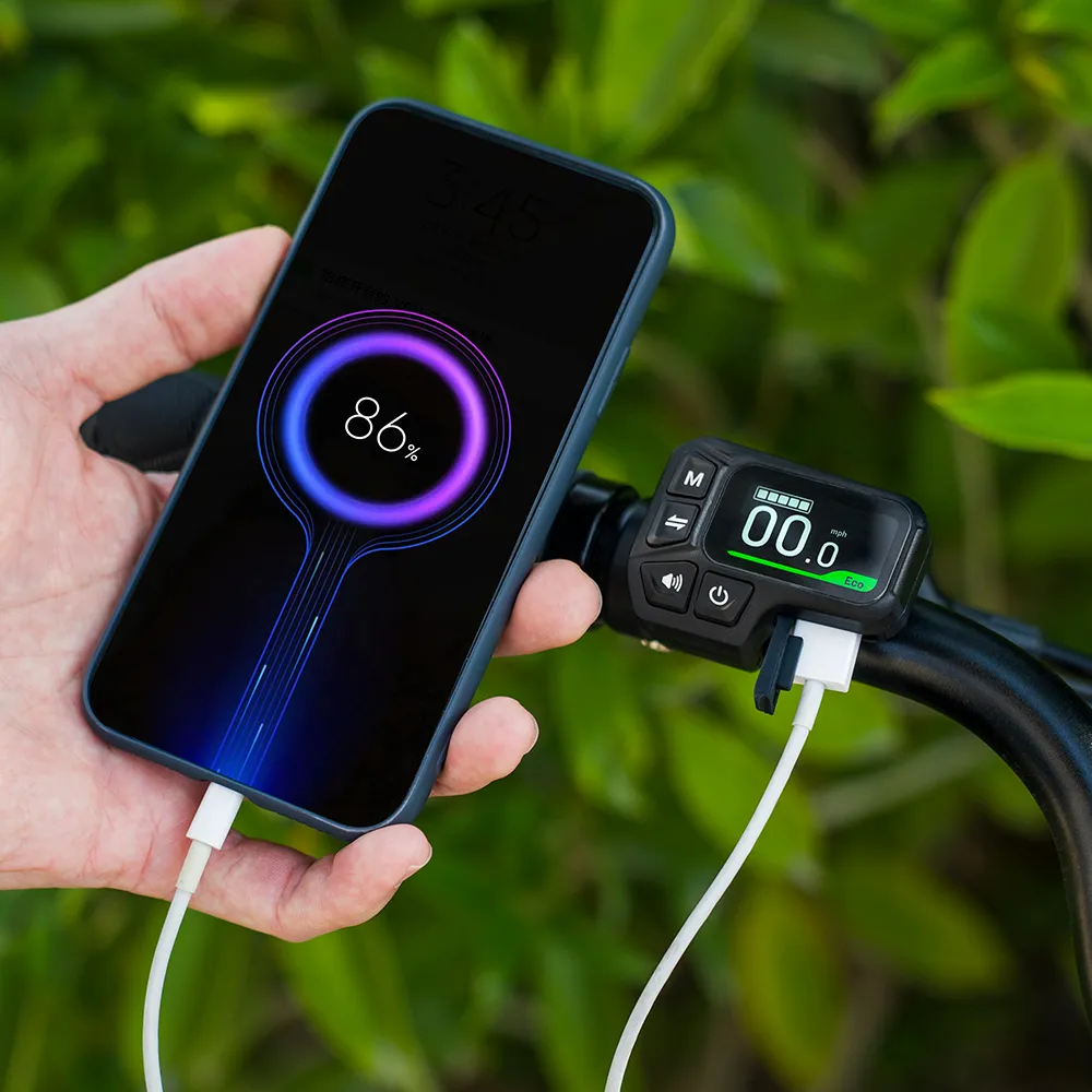 Vélo électrique urbain léger Fiido C11 2025