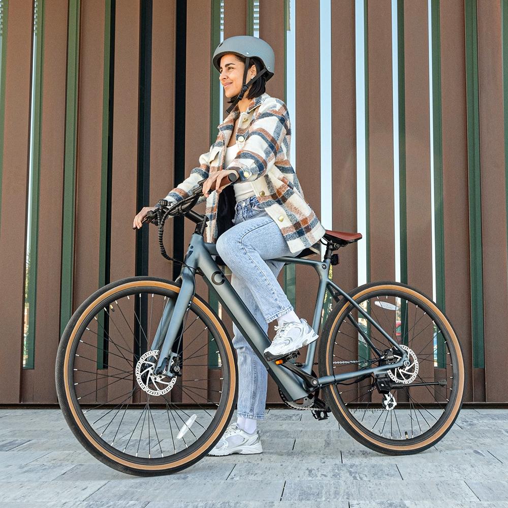 Sprint Silver Elektrofahrrad