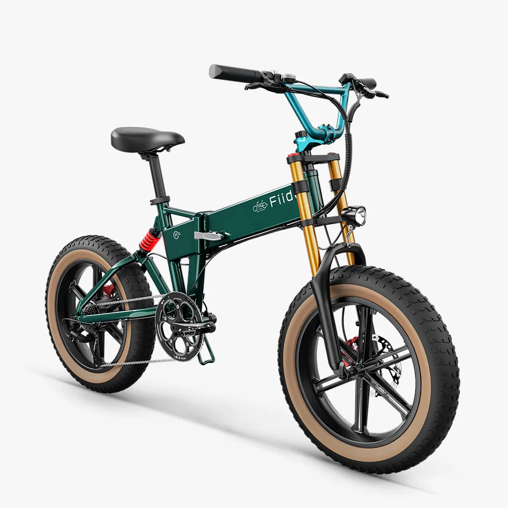 2025 Fiido M1 Pro Electric Big Wheel Fatbike