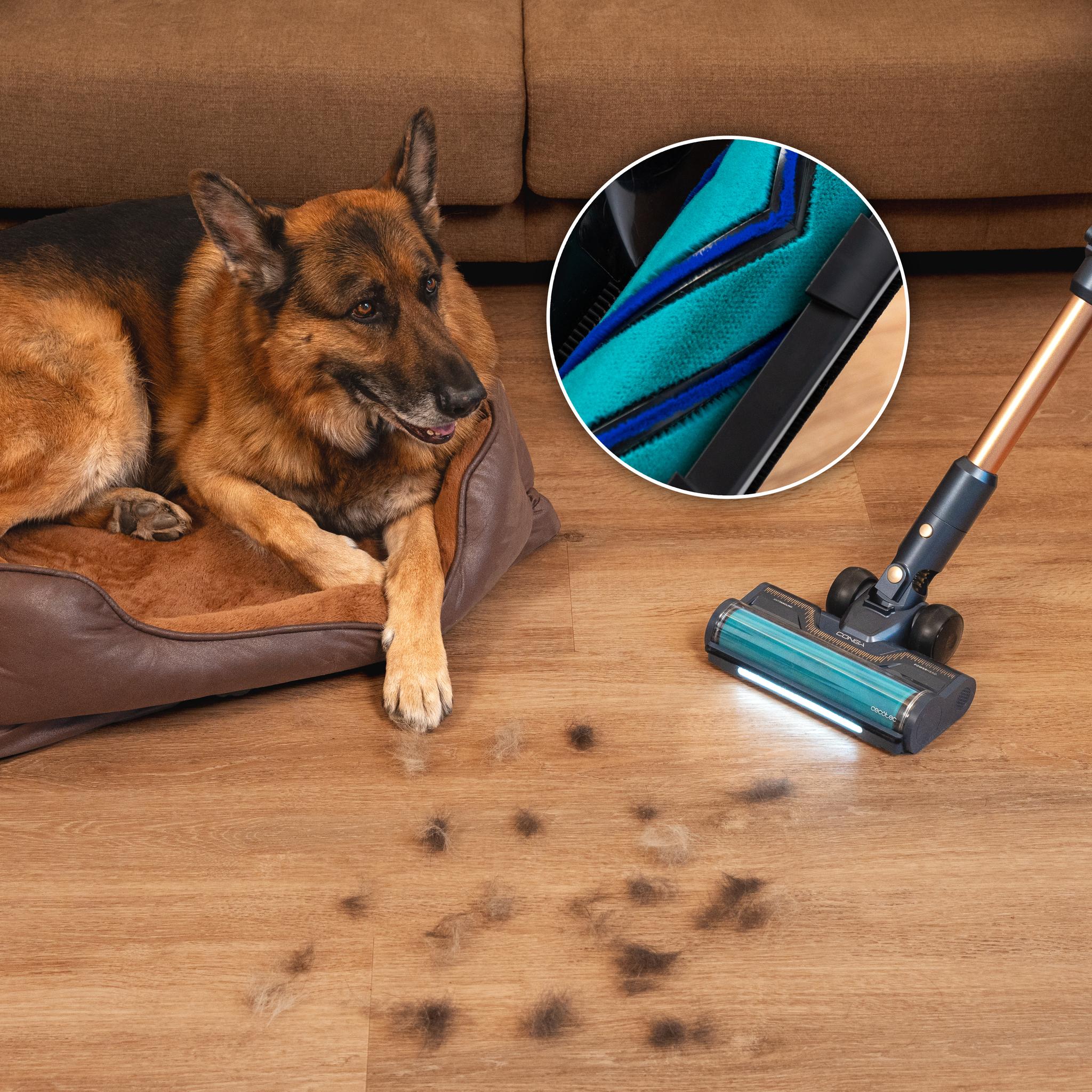 Rockstar 10500 Solar AquaPet Flex Conga