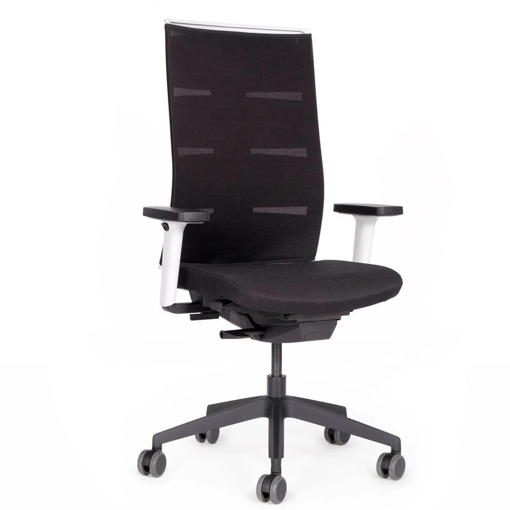 Agilis Matrix MT12 2025 Langsam verstellbarer ergonomischer Bürostuhl mit Netzrückenlehne, Sonderedition, Reines Schwarz