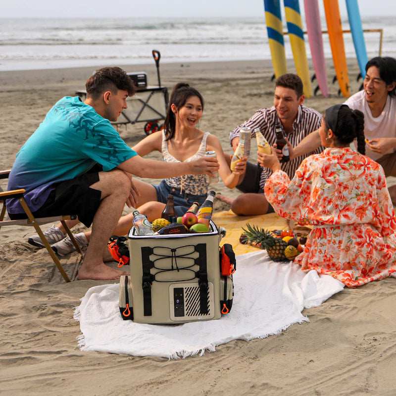 2025 Litheli FrozenPack – Tragbare Kühlbox im Rucksackformat