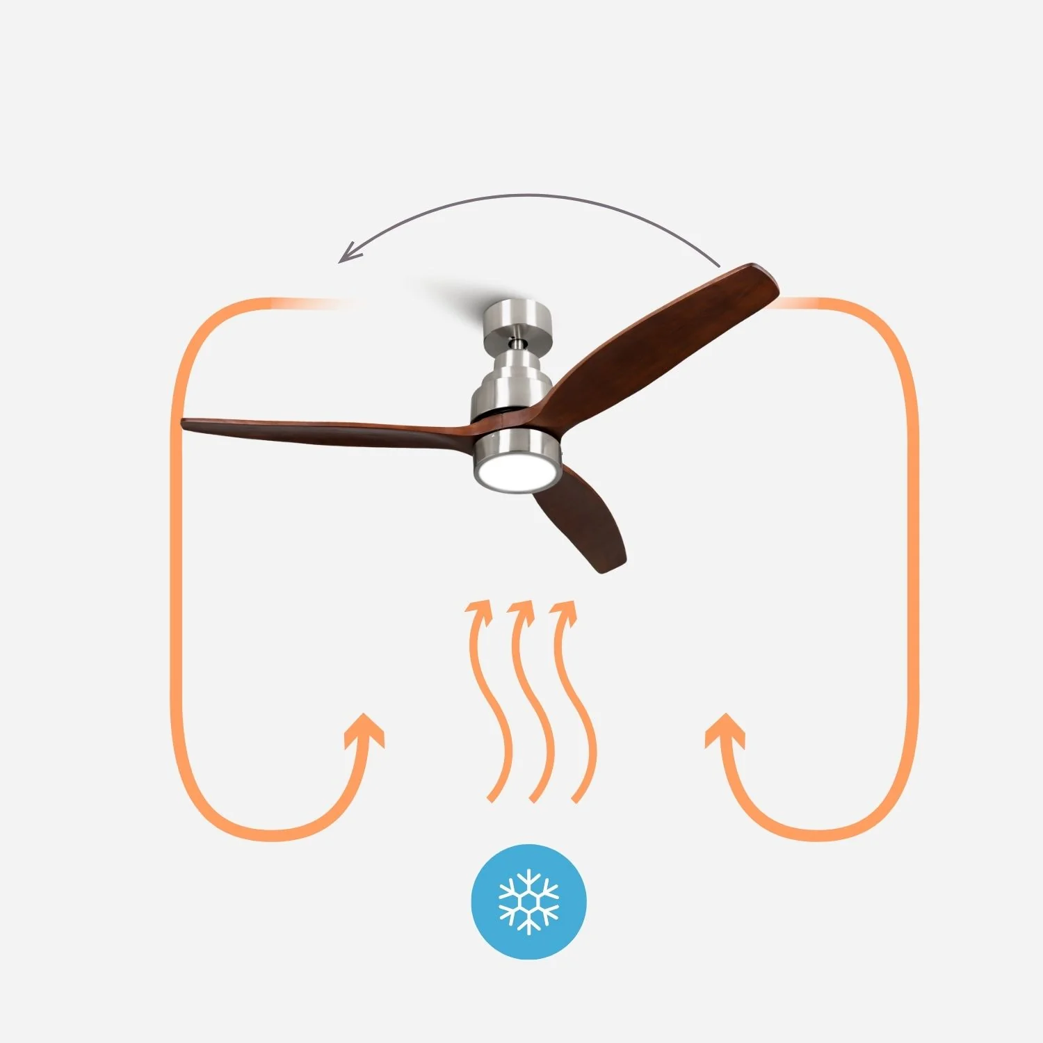 Brizy Bright Dark Wood