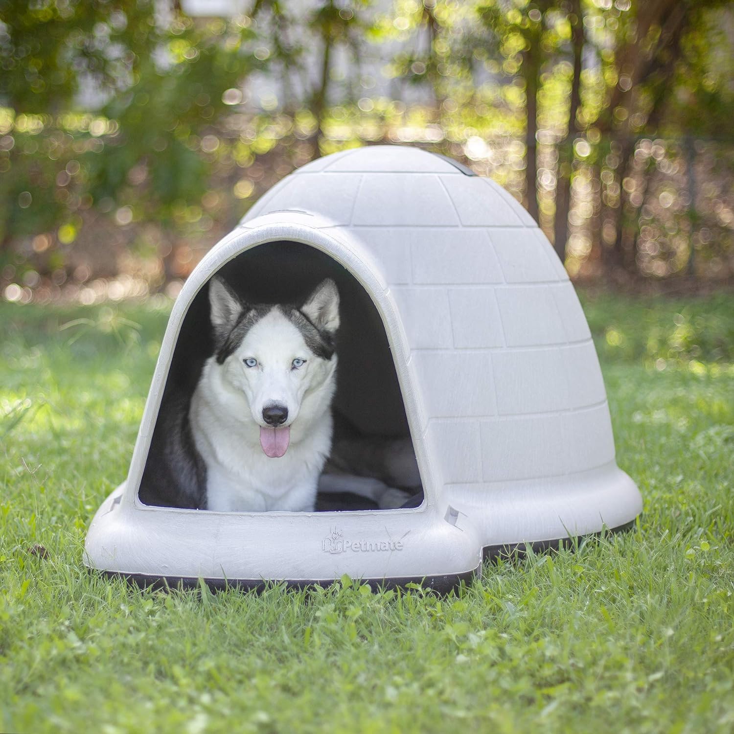 2025 Petmate Indigo Hundehus (Igloo-stil hus. Lavet i USA med 90% genbrugsmaterialer. Dyrehus til al slags vejr) til ekstra store hunde - 40 til 50 kg. Lavet i USA.