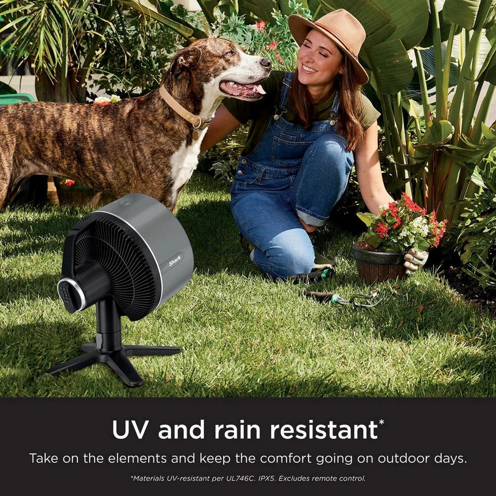 Ventilateur de table haute vitesse Shark FA150UK FlexBreeze 2025 pour une utilisation intérieure et extérieure – Brume d'abeille