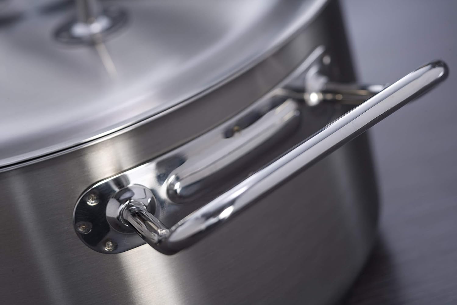 ZWILLING 5-teiliges Kochgeschirr-Set, 4 Deckel, induktionsgeeignet, Edelstahl, Farbe: Passion, Hellgrau, Durchmesser: 16 cm, 20 cm, 24 cm, 28 cm